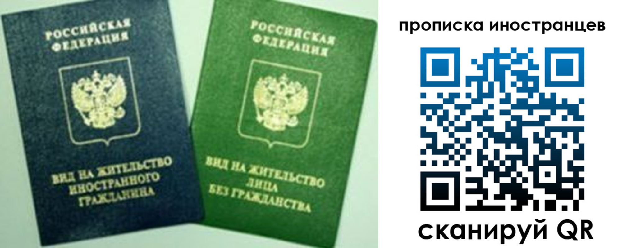 прописка для школы в Электростали